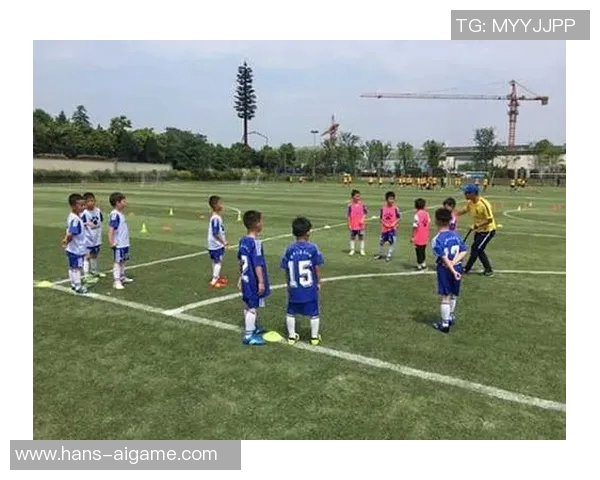 足球运动中受伤的赔偿问题探讨及相关法律责任分析